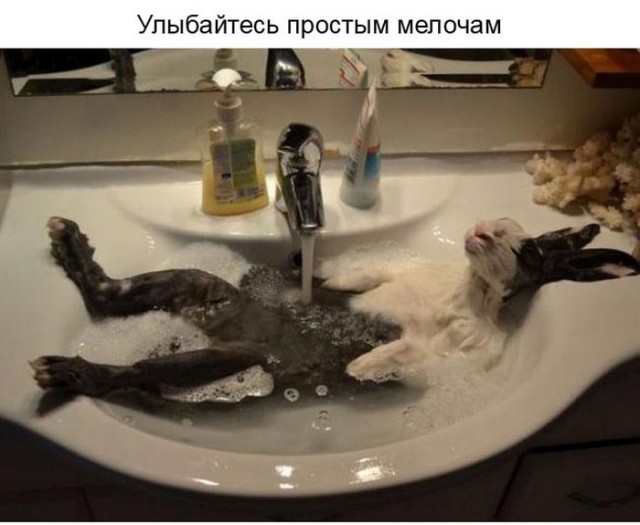 О ценности улыбки в нашей жизни