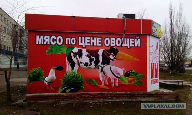 Маразмы
