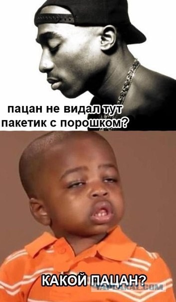 Пакетик не видел?