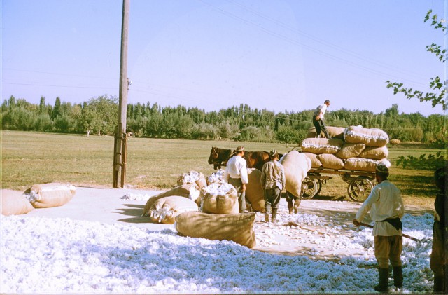 СССР глазами иностранцев: Жак Дюпакье в Ташкенте 1956 г.