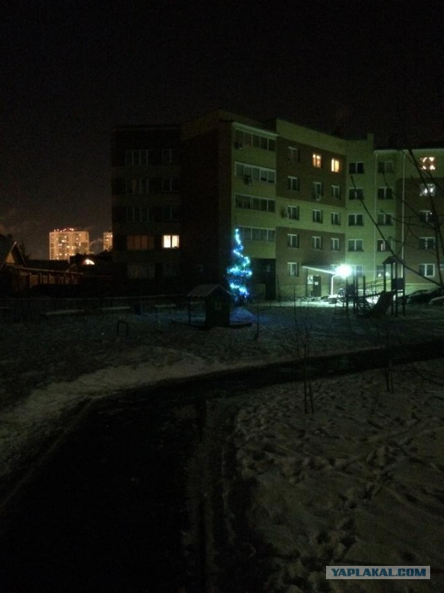 Без обид, это просто вопрос...