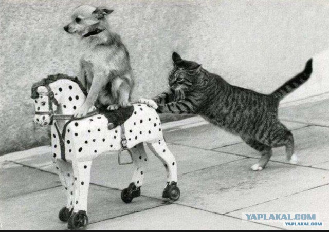 В Британии назвали условия приема России в «семью цивилизованных стран»