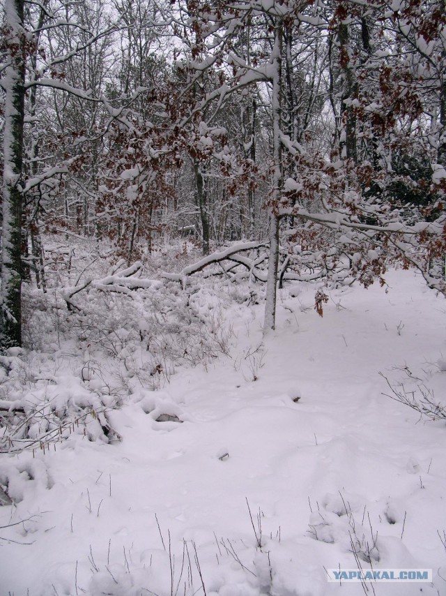 Деревенская Америка - 3