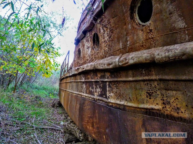 Просто Природа
