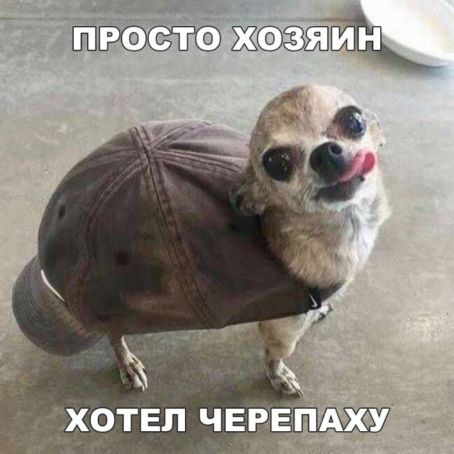 От работы тяжёлой не ной, пост с картинками для отдыха открой!
