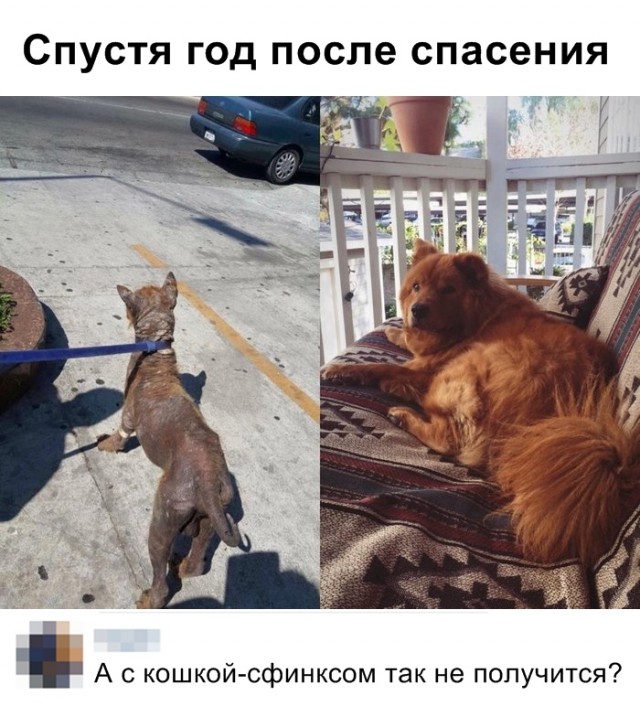 Нестандартный юмор