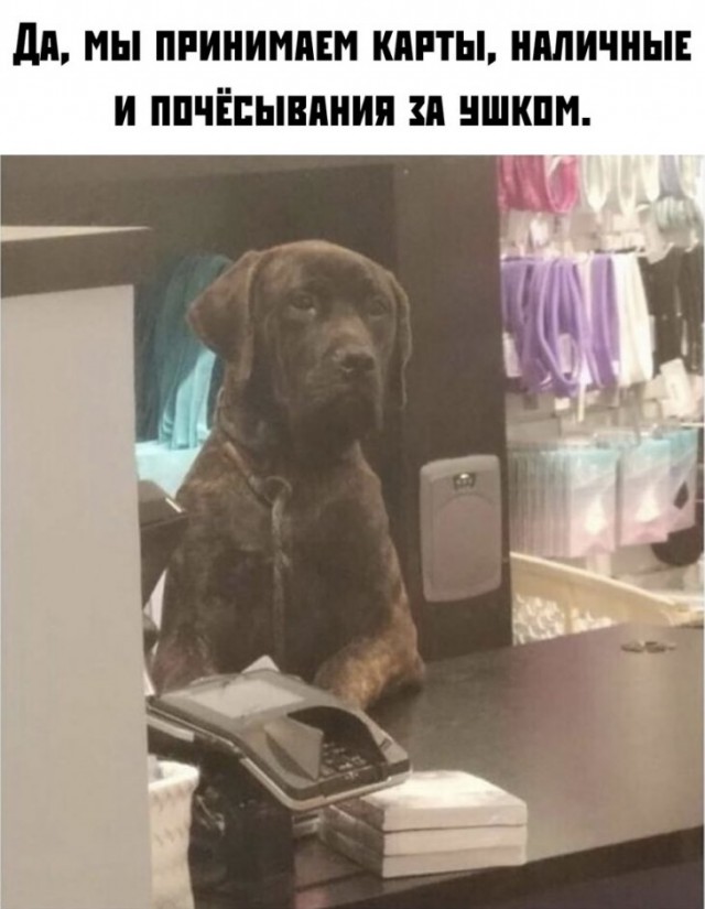 Немного картинок для настроения