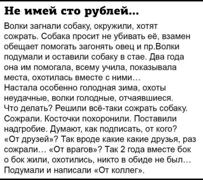 Бредзона 12.01.2020