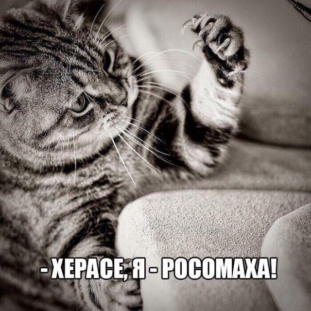 Чуток картинок, Ночные