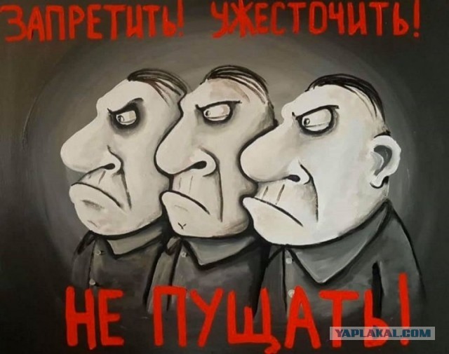В Петербурге решили наказать жителя, облагородившего придомовую территорию за свой счет
