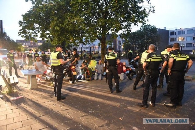 В голландских Гааге и Утрехте на протяжении 48 часов происходило такое