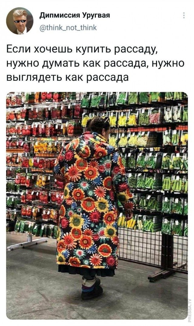 Картинки и мемы для настроения