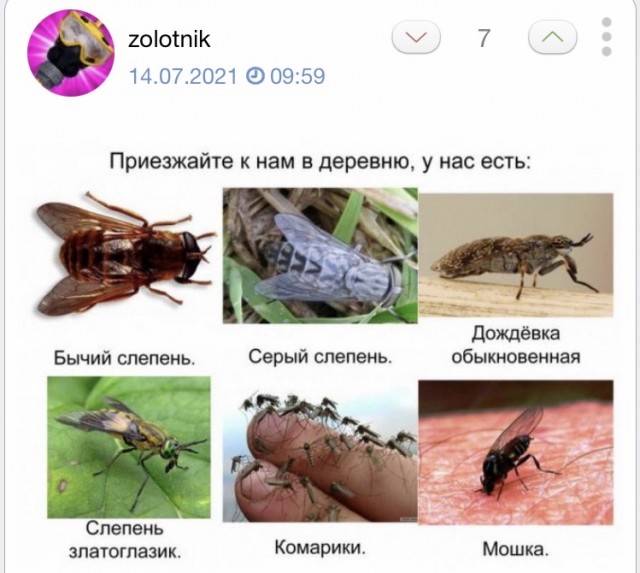 35 картинок разных 14.07.2021