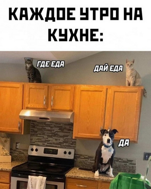 Картинки и мемы для настроения 05.10.2021