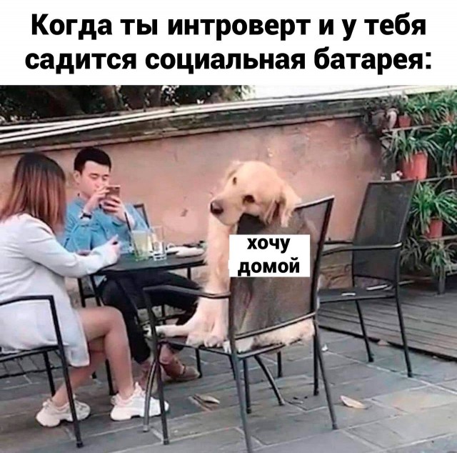 Весёлый полтишок 22.10