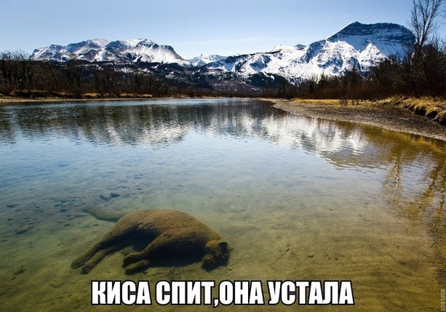 Картинки всякие и аморальные - 14