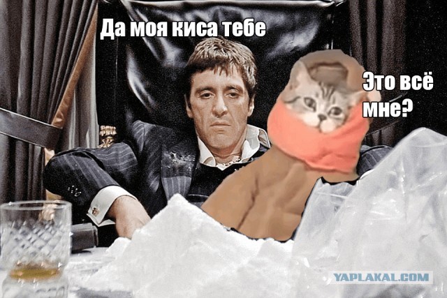 Фотожаба: Продавец рыбов