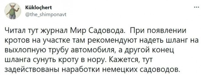 Забавные шутки, фразы, картинки из этих ваших интернетов