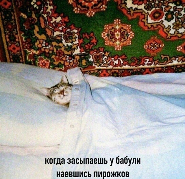 Картинки и мемы для настроения - 27