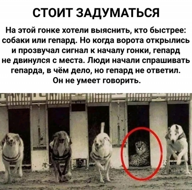 Чуток картинок 26.07.22
