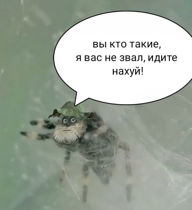Я слишком стар для этого дерьма