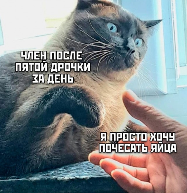 Немного картинок для настроения - 127