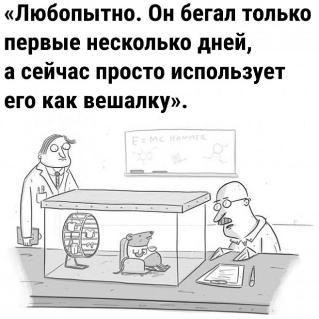 Немного картинок для настроения - 127