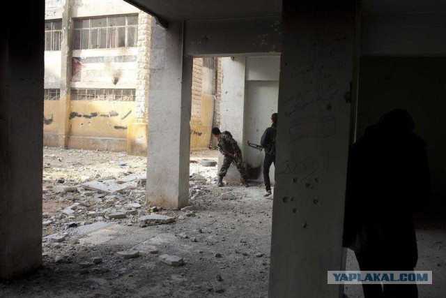 Есть ли жизнь в Алеппо?