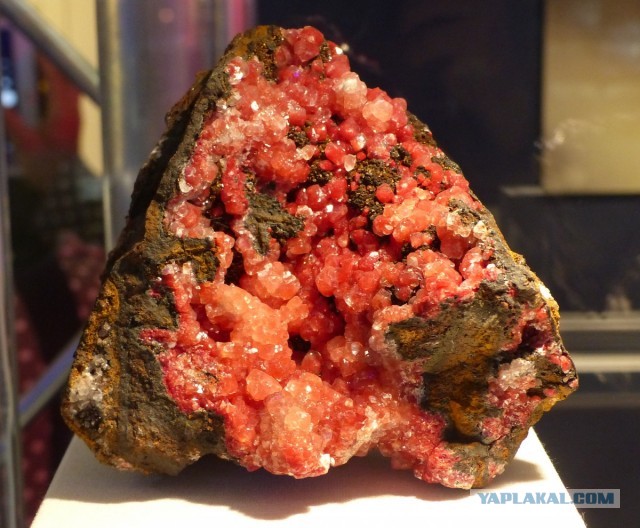 Mineralientage München 2018