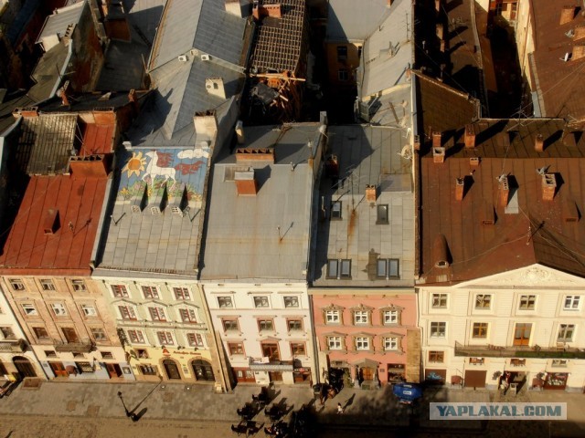 Мыльница