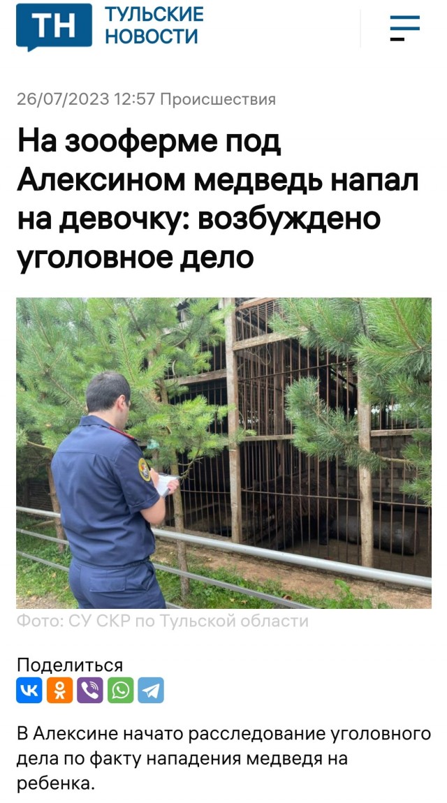 Медведь забрел в лагерь к рыбакам, ребята кормят его прямо с рук
