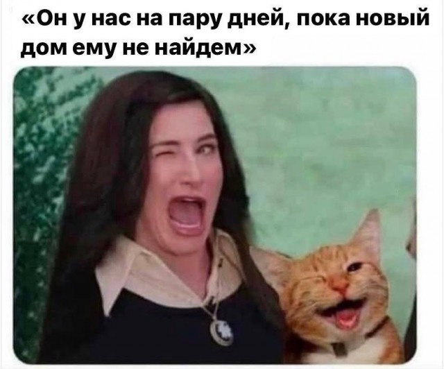 Всего понемногу. От 08.12.23