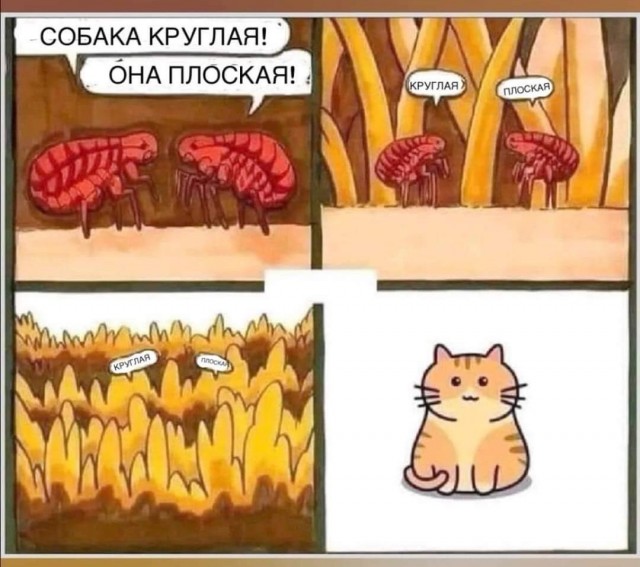 Маленькая пятница