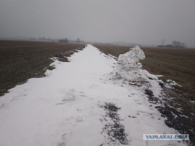 Жизнь домашнего приюта для котеек 482