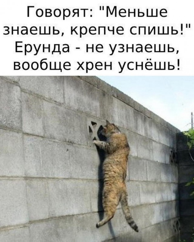 Тлидцать тли от 12 февлаля