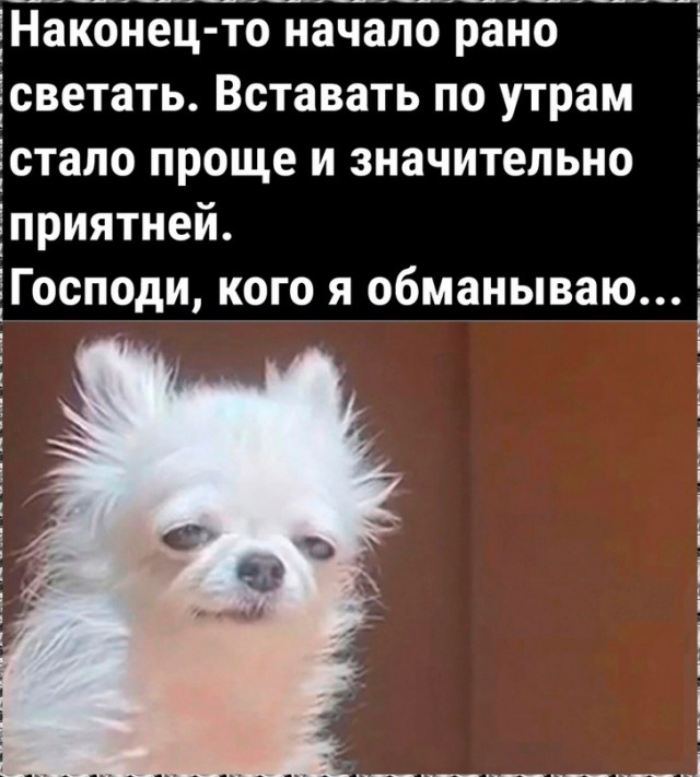 Тлидцать тли пятничные