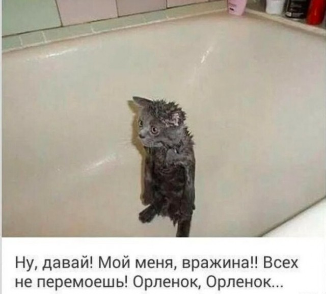 Картинки неразобранные