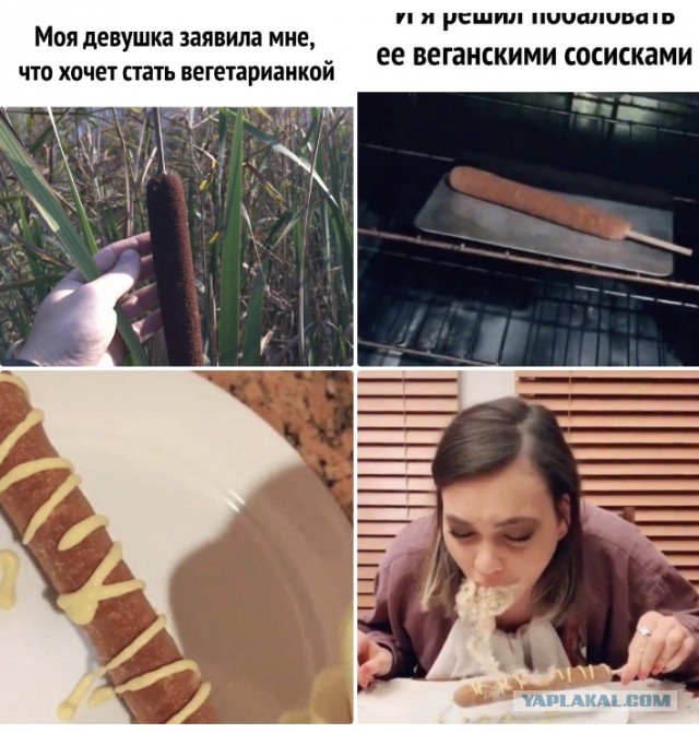 Суббото-баяно-лар