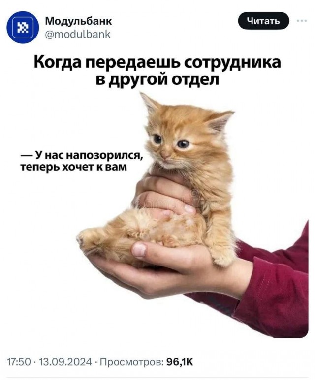 Завалялось тут случайно немного забавных картинок