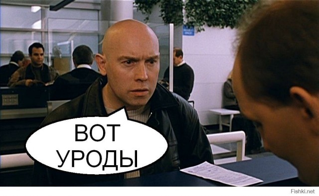 В Краснодаре обокрали бездомного кота