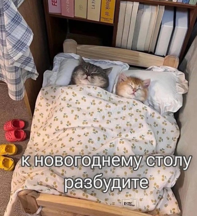 Картинков вам разных.