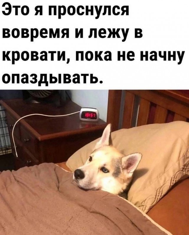 Картинки выходного дня