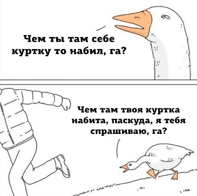 Гуси, сука, опасные