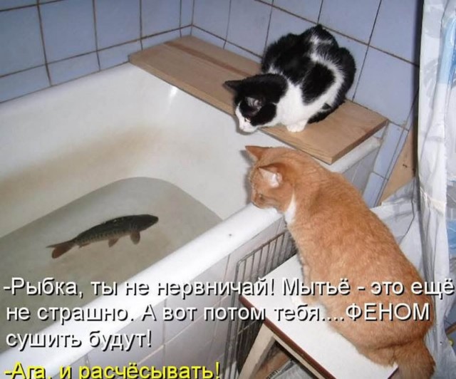 Завалялось тут случайно немного забавных картинок