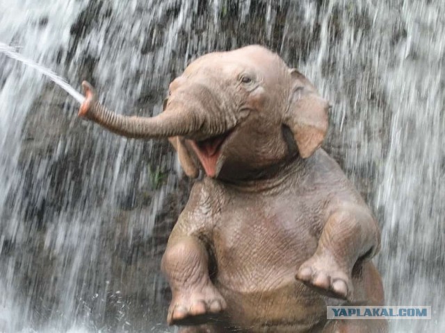 Про следствие.