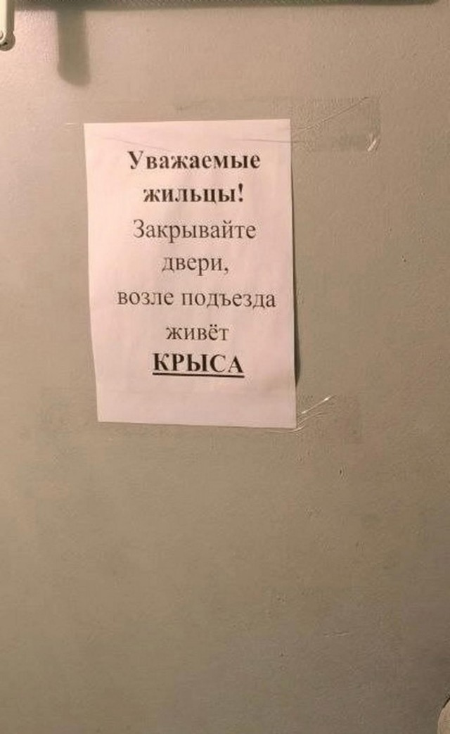 У меня муж дома