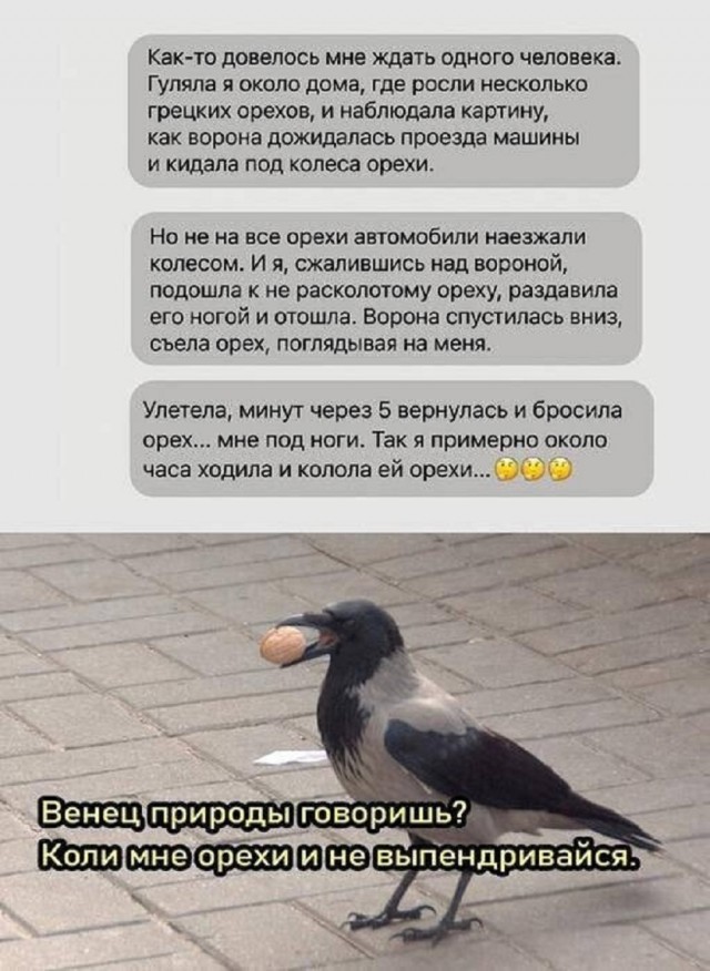 Так себе картинки 22.05.25