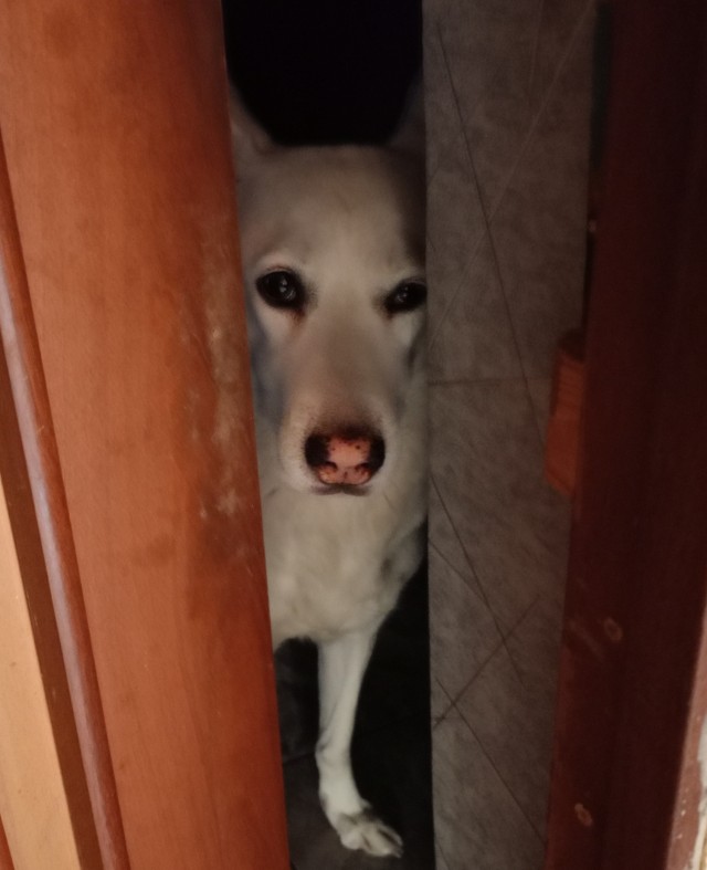 Не! Не дотерплю до четверга!
