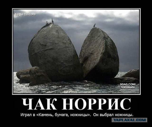 Раскопки архивов картинок.