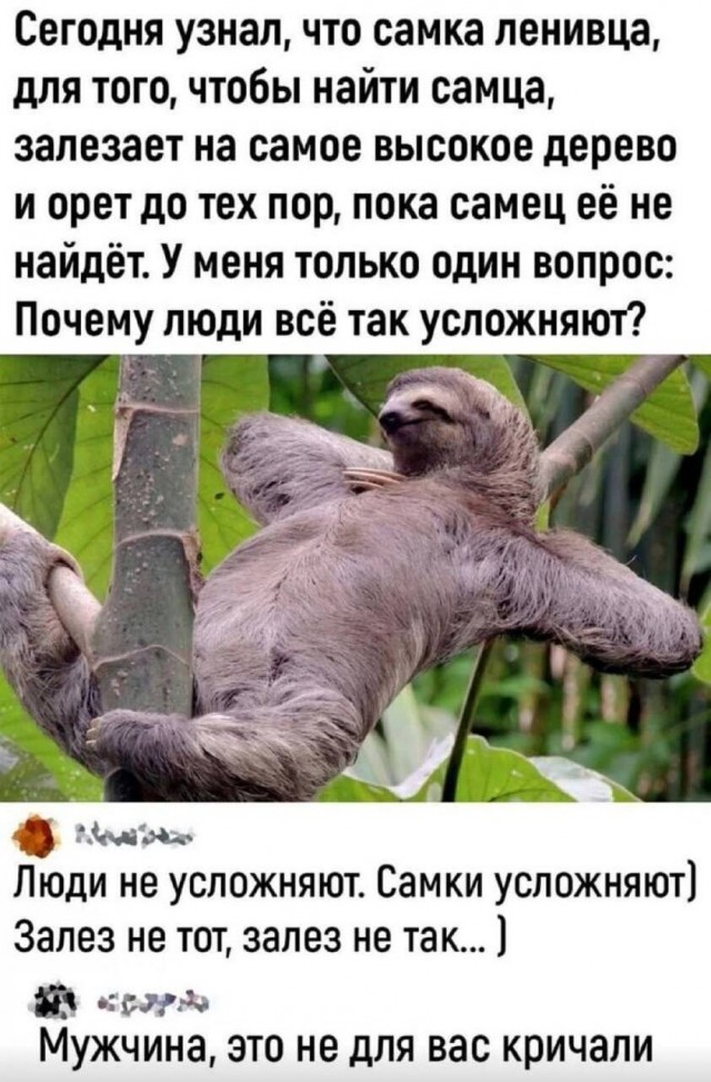 Так себе картинки 10.07.25